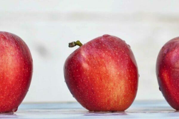 New menus coming this summer!