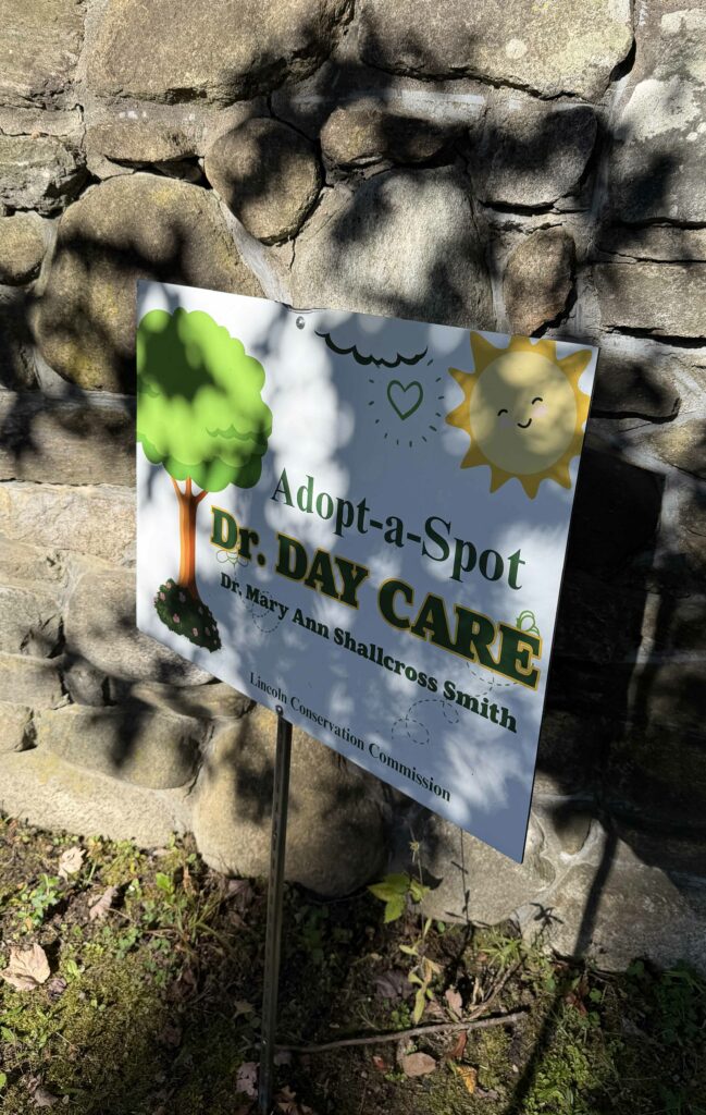 Evans Park fall clean up 4 Evans Park fall clean up