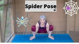 spider