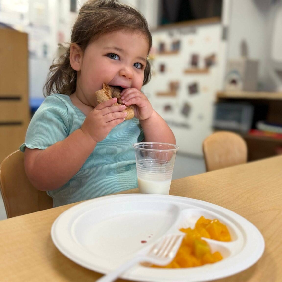 meals-breakfast-snack-bagel-food-toddler